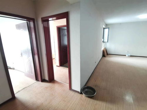 邯鄲火車站 汽車站附近 萬浩家園電梯房 兩梯四戶 老證可 撿漏二手房 火車站 汽車站附近 萬浩家園電梯房 兩梯四戶 老證可 撿漏